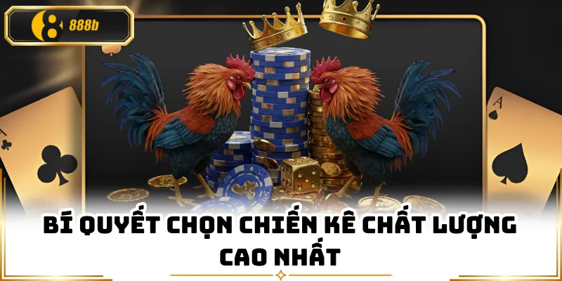 Bí quyết chọn chiến kê chất lượng cao nhất