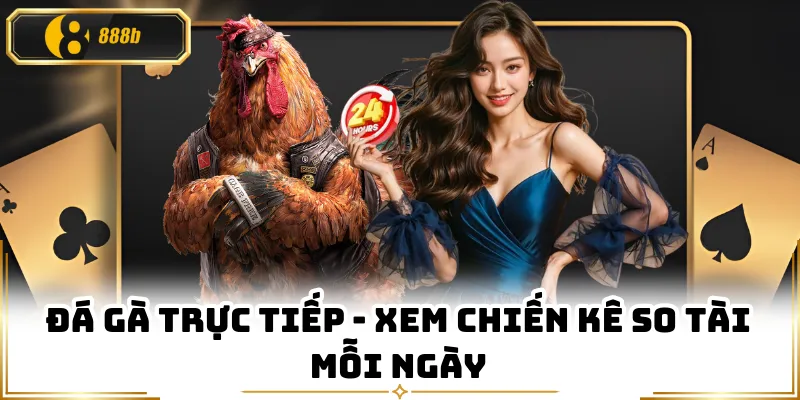 Đá Gà Trực Tiếp - Xem Chiến Kê So Tài Mỗi Ngày