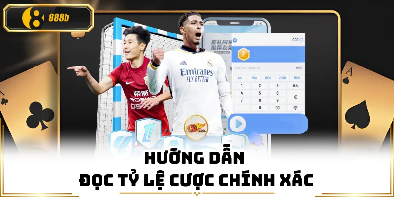 Hướng dẫn đọc tỷ lệ cược chính xác