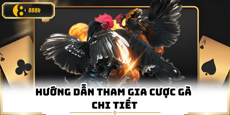 Hướng dẫn tham gia cược gà chi tiết