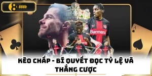 Kèo Chấp - Bí Quyết Đọc Tỷ Lệ Và Thắng Cược