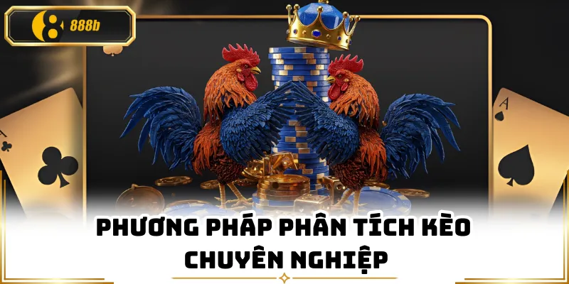 Phương pháp phân tích kèo chuyên nghiệp