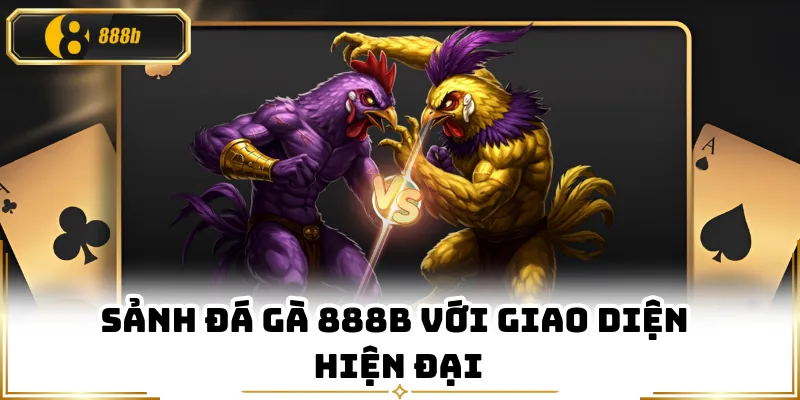 Sảnh đá gà 888B với giao diện hiện đại
