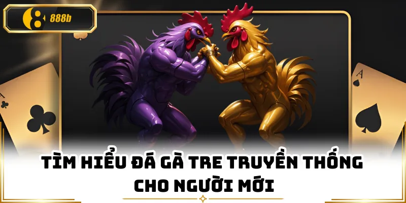 Tìm hiểu đá gà tre truyền thống cho người mới