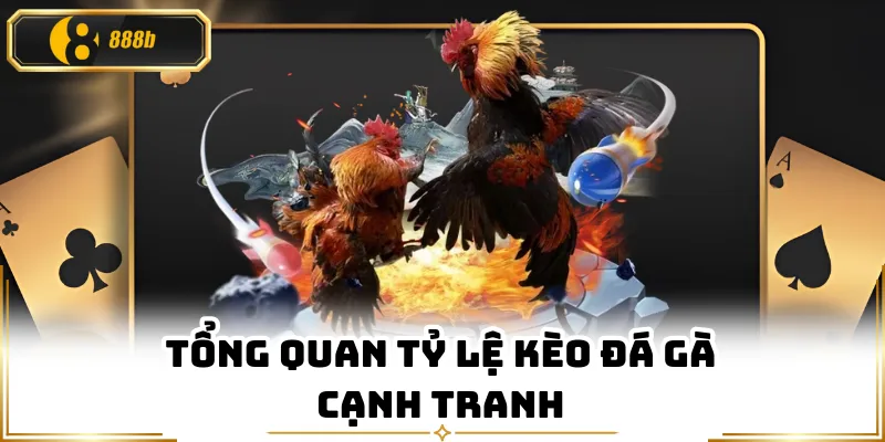 Tổng quan tỷ lệ kèo đá gà cạnh tranh